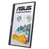 Monitor ASUS LCD 15.6" MB16AHT 1920x1080 250cd IPS 5ms repro USB-C x 2 miniHDMI 1x , bez podstavce 1.01 Kg