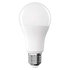 EMOS LED žiarovka Classic A60 / E27 / 13 W (100 W) / 1521 lm / Teplá biela