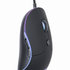 Optická myš GEMBIRD myš MUS-UL-02, podsvícená, černá, 2400DPI, USB