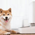 Xiaomi Smart Pet Food Feeder EU