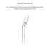 TrueLife AquaFloss Compact C300 Orthodontic Jet