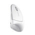 Bluetooth optická myš Trust Verto/Vertikální/Optická/Pro praváky/Bezdrátová USB/Bílá