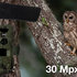 EVOLVEO StrongVision MINI 4G, fotopast/bezpečnostní kamera