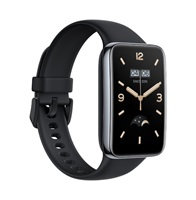 Xiaomi Smart Band 7 Pro Black EU