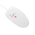 Optická myš Natec optická myš RUFF 2/1 000 DPI/Kancelárska/Optická/1 000 DPI/Drôtová USB/Biela