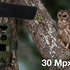 EVOLVEO StrongVision MINI 4G, fotopasca/bezpečnostná kamera