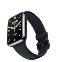 Xiaomi Smart Band 7 Pro Black EU