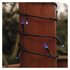 EMOS Standard LED spojovacia vianočná reťaz, 10 m, vonkajšia aj vnútorná, modrá