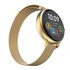 CARNEO Hero mini HR+ gold