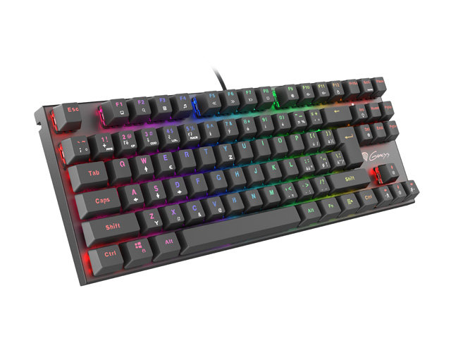 Herná klávesnica Genesis herní mechanická klávesnice THOR 300/RGB/Outemu Red/Drátová USB/CZ/SK layout/Černá