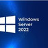 HPE Windows Server 2022 CAL 10 User