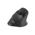 Bluetooth optická myš Natec CRAKE 2/Kancelárska/Optická/Pre pravákov/2 400 DPI/USB+BT/Čierna