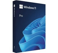 MICROSOFT Windows Pro 11 64-bit Eng USB