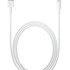 APPLE Lightning to USB Cable (2 m) / SK